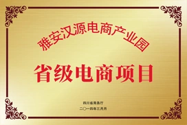 雅安电商产业园 省级电商项目